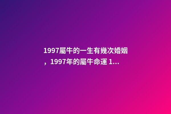 1997屬牛的一生有幾次婚姻，1997年的屬牛命運 1997屬牛的一生有幾次婚姻，97年屬牛人注定的婚姻